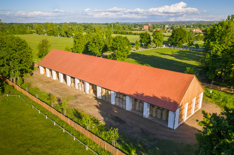 Kladruby