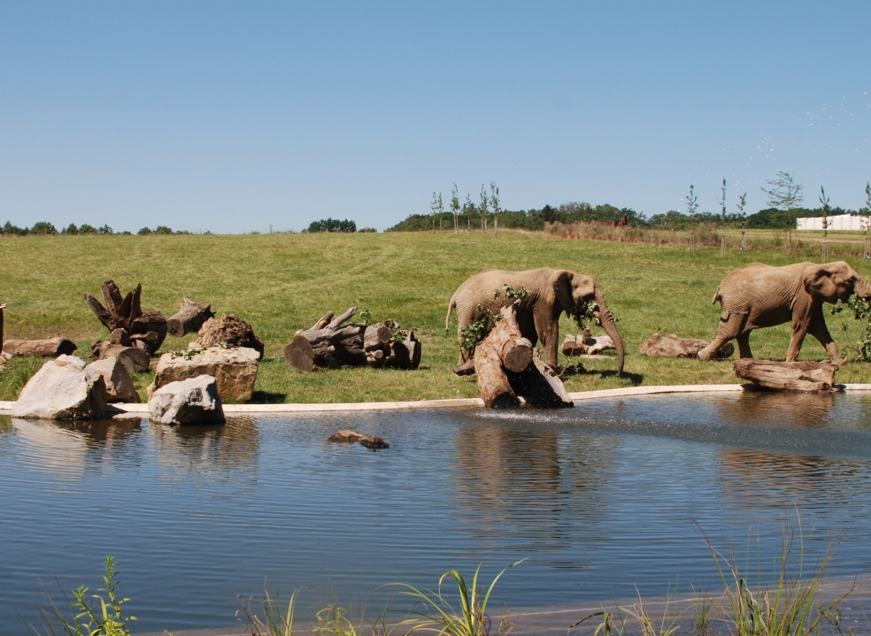 ZOO